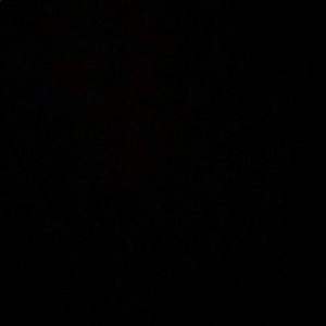 Meet your Posher, Esmeralda